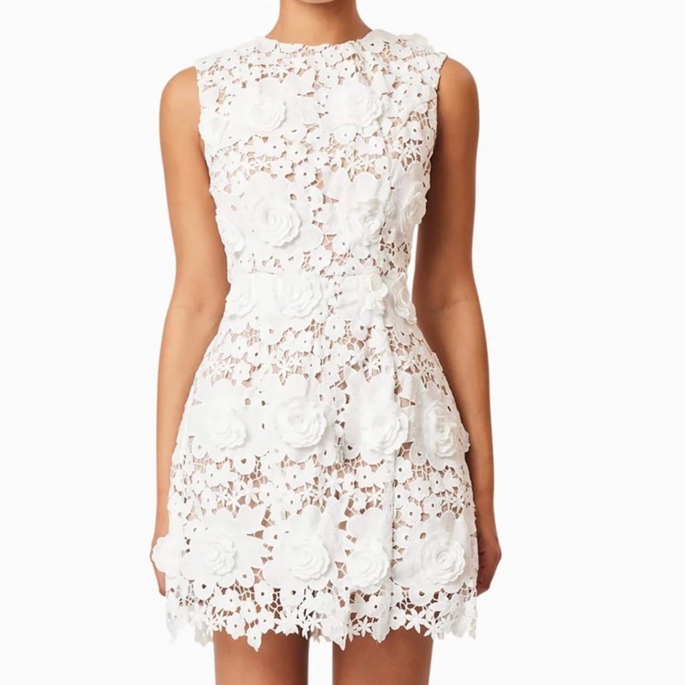 Elliatt Daffodil Lace Mini Dress In White